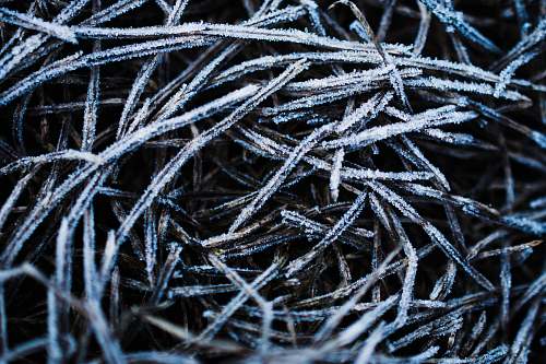 wire  november