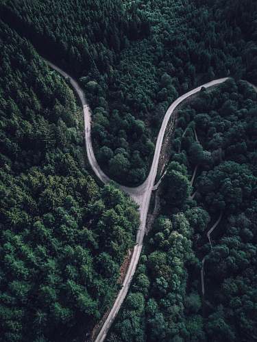 forest top view photography of forest brecon beacons