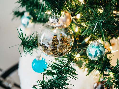 tree clear and teal glass baubles hanged on lighted Christmas tree seasoning