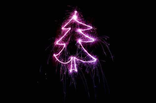 night purple tree artwork fireworks