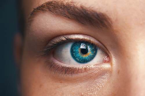 person selective focus of blue-eyed person human