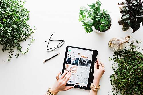 ivy person using black tablet computer flora