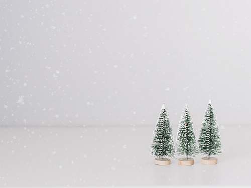 grey three green Chrismas trees tree