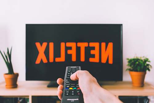 plant person holding remote pointing at TV pottery