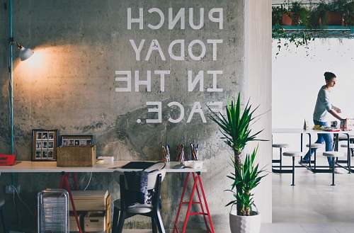 office green plant beside white desk plant