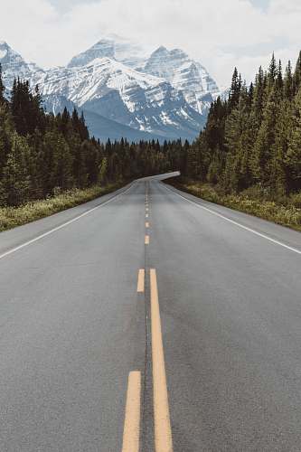 highway gray pavement road surrounded by trees taken at daytime travel