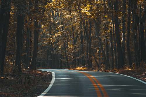 nature grey mountain pass road forest