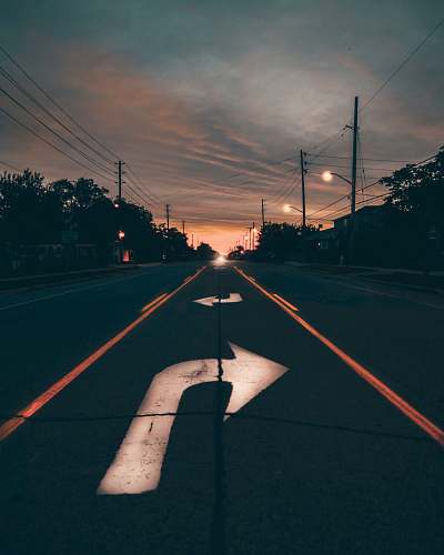 arrow highway near trees during golden hour dusk