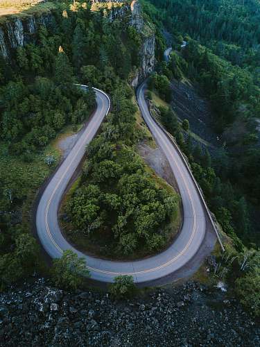 oregon horseshoe road surrounded with tall trees forest