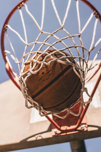 basketball basketball on ring tega cay