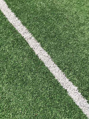 football green grass field field