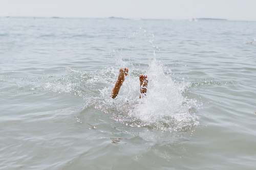 sports person on ocedan water