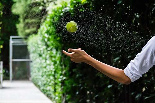 ball person throwing tennis ball tennis
