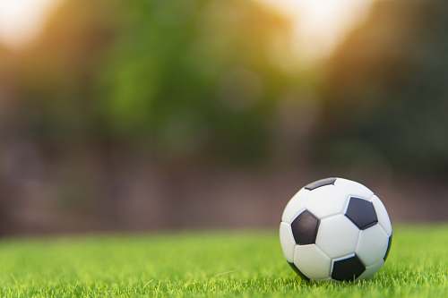 soccer soccer ball ball