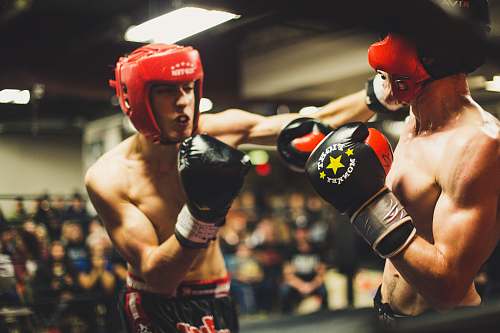 sports two man playing boxing boxing