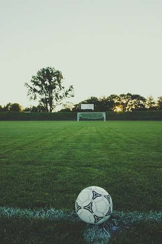 soccer white and black soccer ball football