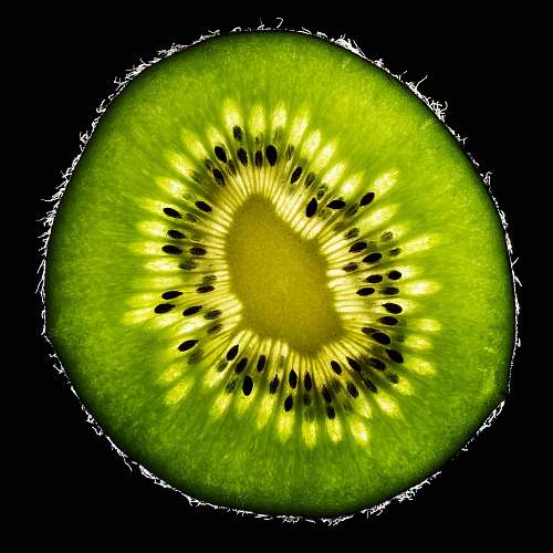 sport sliced kiwi tennis ball