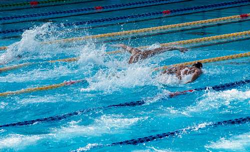 human two men swimming doing butterfly strokes swimming