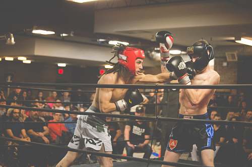 sport two person playing kick boxing boxing