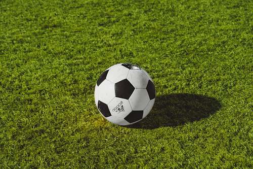 ball white and black soccer ball on grass field soccer
