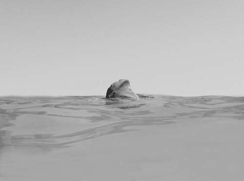 swimming woman swimming on the ocean photography black-and-white