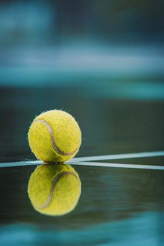 ball  tennis ball