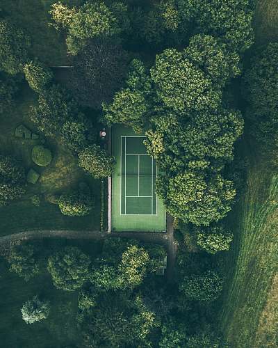 green aerial photo of tennis court surrounded with trees nature