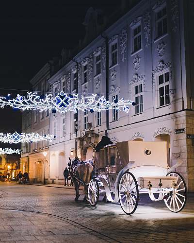 carriage horse with carriage near building vehicle