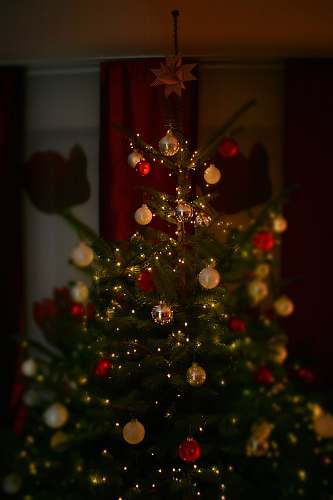 plant baubles hung on Christmas tree christmas tree