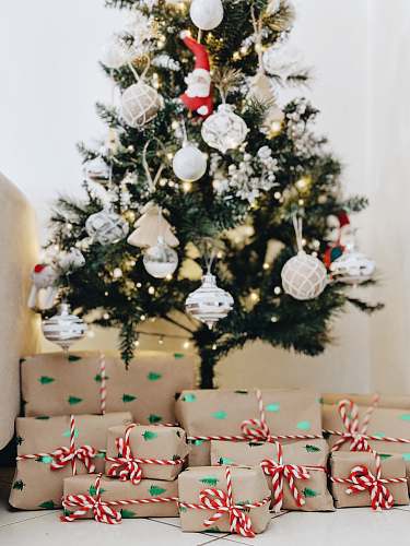 plant bundle of gifts near Christmas tree christmas tree