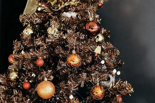 plant gold Christmas tree christmas tree