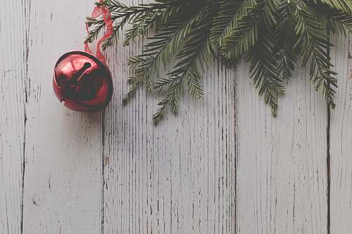 plant red Christmas ball hangs on tree sphere