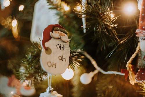 ornament Santa Claus decor plant