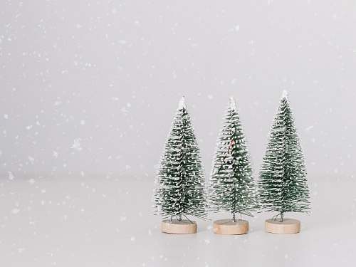 plant several miniature green-and-white pine tree table decors grey