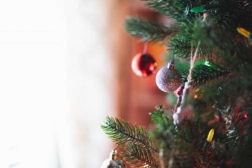 plant silver and red ornament on Christmas tree christmas tree