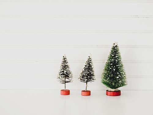 ornament three green christmas tree decors plant