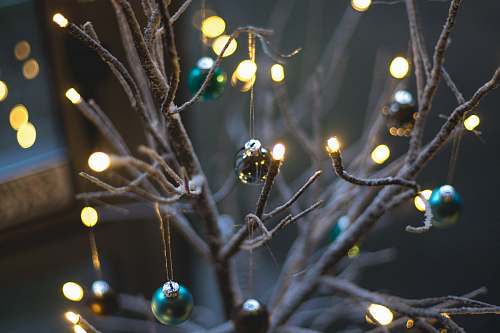 christmas turned on string lights hanging on bare tree with baubles grey