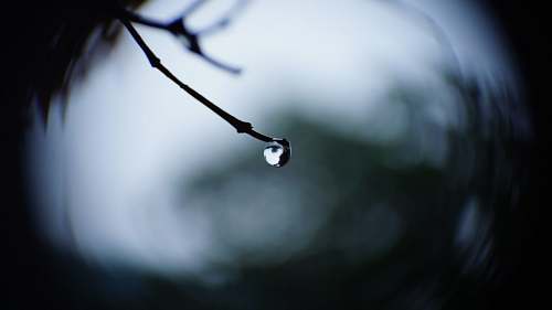 drop focus photo of water droplet raindrop