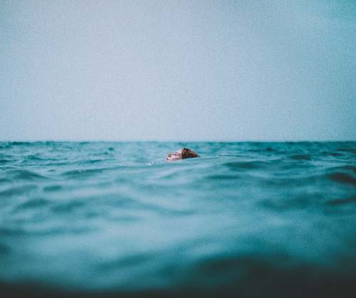 human woman swimming in a body of water person