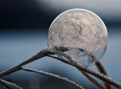 ice micro photography of bubble frost