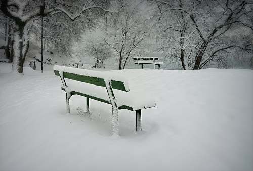  green bench covered with snow 