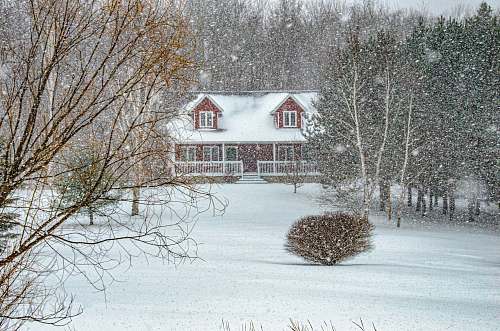 nature white and red house surrounded by bare trees during daytime outdoors