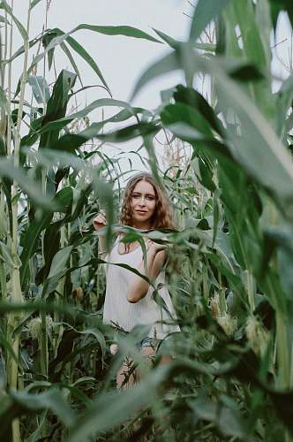 person smiling woman standing in the middle of corn field female