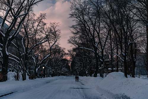 blizzard road covered with snow nature