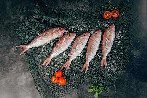 food five fish between tomatoes on black net tomato
