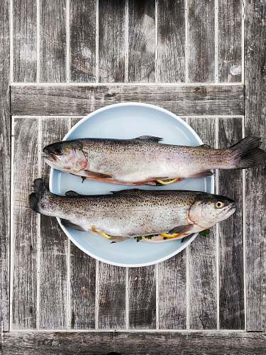 food two silver fishes on round white ceramic plate trout