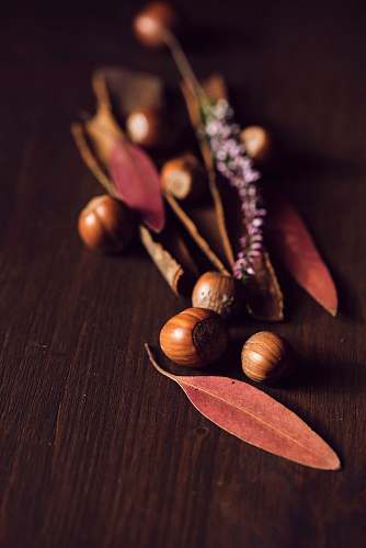 fall assorted brown nut of surface acorn