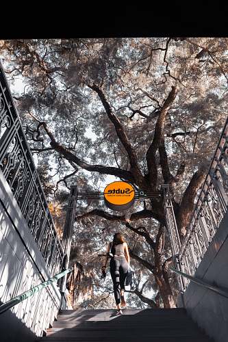 handrail woman standing near tree person