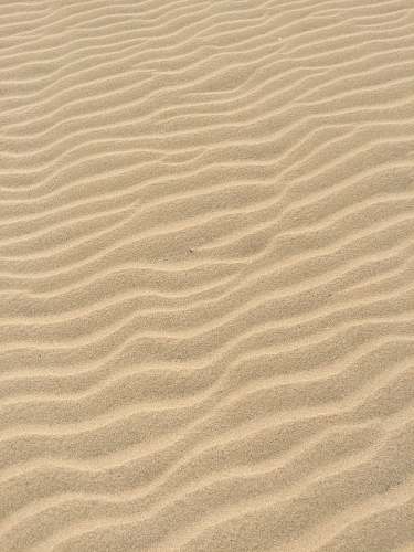 sand brown sands texture
