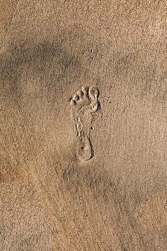 footprint sand foot print foot